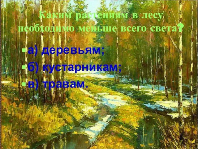 Каким растениям в лесу необходимо меньше всего света? а) деревьям; б) кустарникам; в) травам.