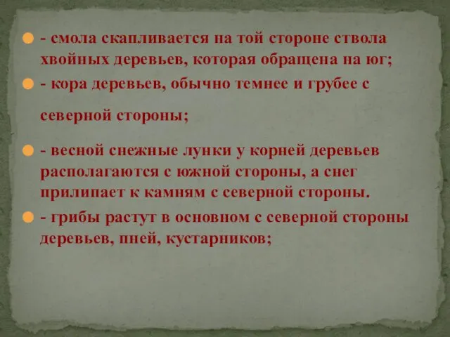 - смола скапливается на той стороне ствола хвойных деревьев, которая обращена