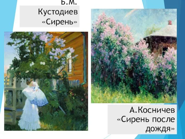 Б.М.Кустодиев «Сирень» А.Косничев «Сирень после дождя»