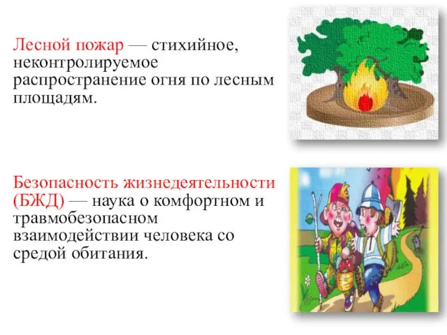 Лесной пожар — стихийное, неконтролируемое распространение огня по лесным площадям. Безопасность