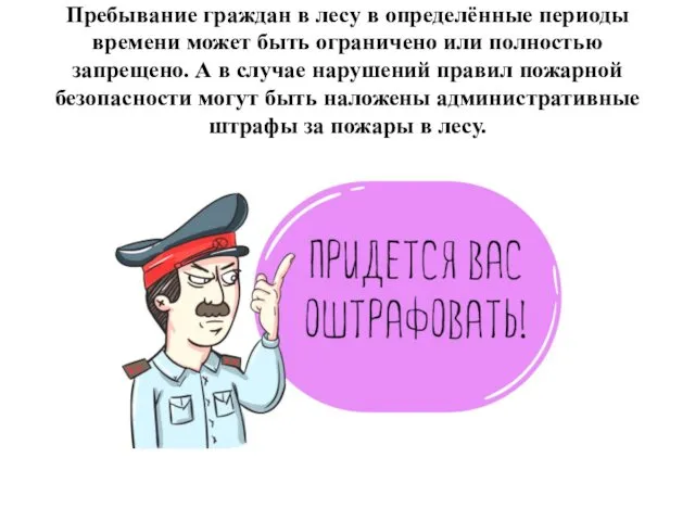 Пребывание граждан в лесу в определённые периоды времени может быть ограничено