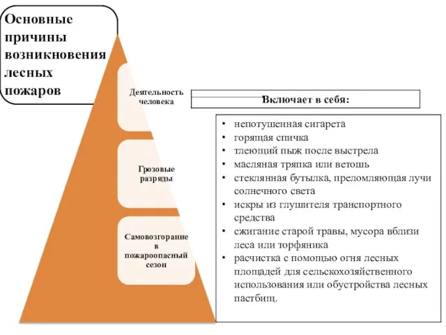 Основные причины возникновения лесных пожаров