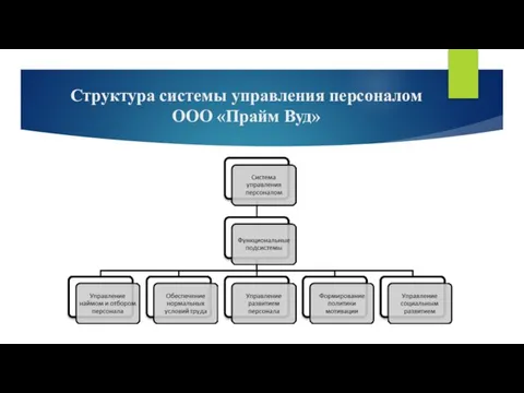 Структура системы управления персоналом ООО «Прайм Вуд»