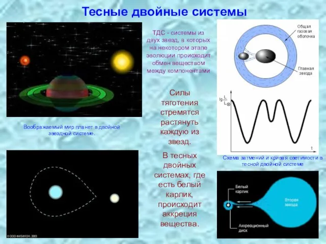 Тесные двойные системы Силы тяготения стремятся растянуть каждую из звезд. В