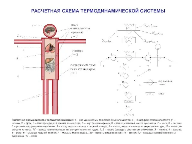 РАСЧЕТНАЯ СХЕМА ТЕРМОДИНАМИЧЕСКОЙ СИСТЕМЫ Расчетная схема системы термостабилизации: а – схема