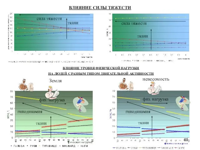 невесомость ВЛИЯНИЕ УРОВНЯ ФИЗИЧЕСКОЙ НАГРУЗКИ НА ЛЮДЕЙ С РАЗНЫМ ТИПОМ ДВИГАТЕЛЬНОЙ