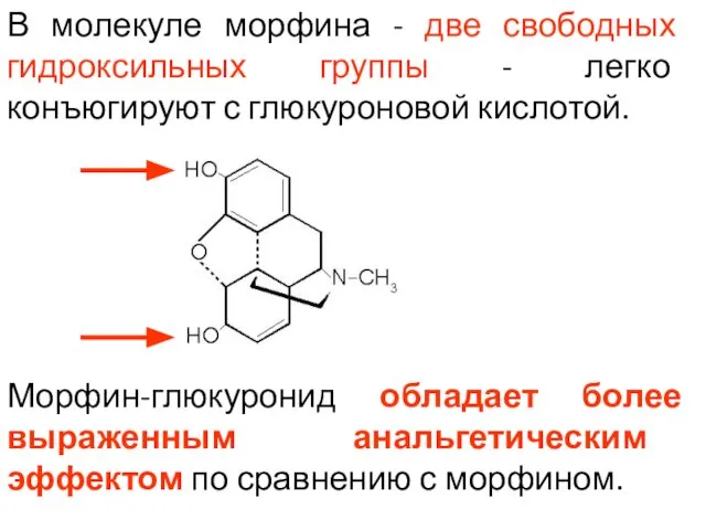 В молекуле морфина - две свободных гидроксильных группы - легко конъюгируют