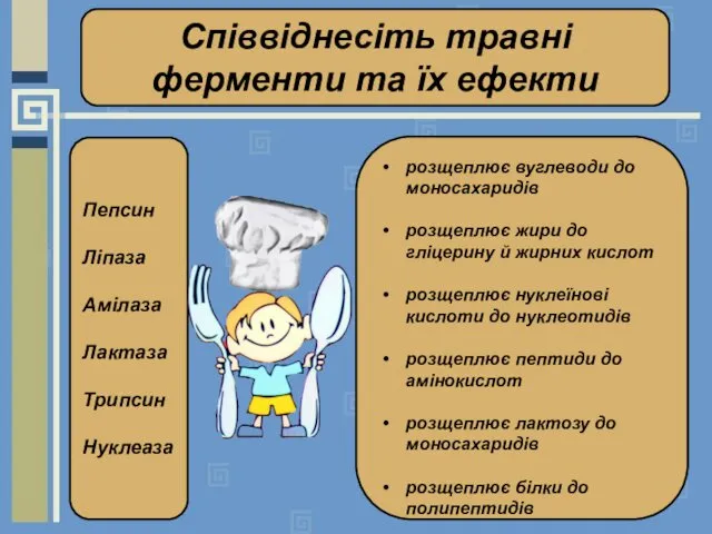 Пепсин Ліпаза Амілаза Лактаза Трипсин Нуклеаза розщеплює вуглеводи до моносахаридів розщеплює