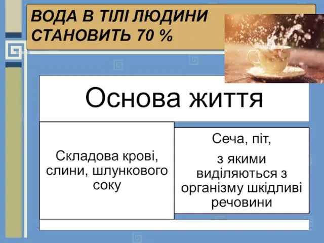 ВОДА В ТІЛІ ЛЮДИНИ СТАНОВИТЬ 70 %