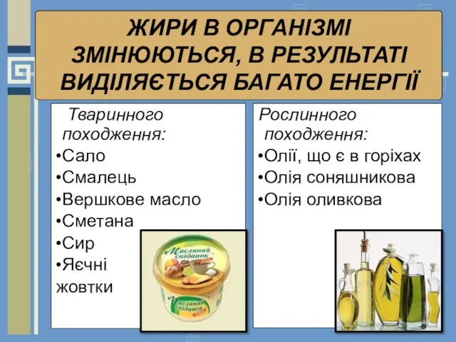 ЖИРИ В ОРГАНІЗМІ ЗМІНЮЮТЬСЯ, В РЕЗУЛЬТАТІ ВИДІЛЯЄТЬСЯ БАГАТО ЕНЕРГІЇ Тваринного походження: