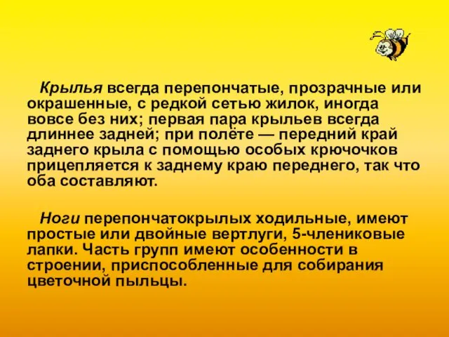 Крылья всегда перепончатые, прозрачные или окрашенные, с редкой сетью жилок, иногда