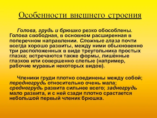 Особенности внешнего строения Голова, грудь и брюшко резко обособлены. Голова свободная,