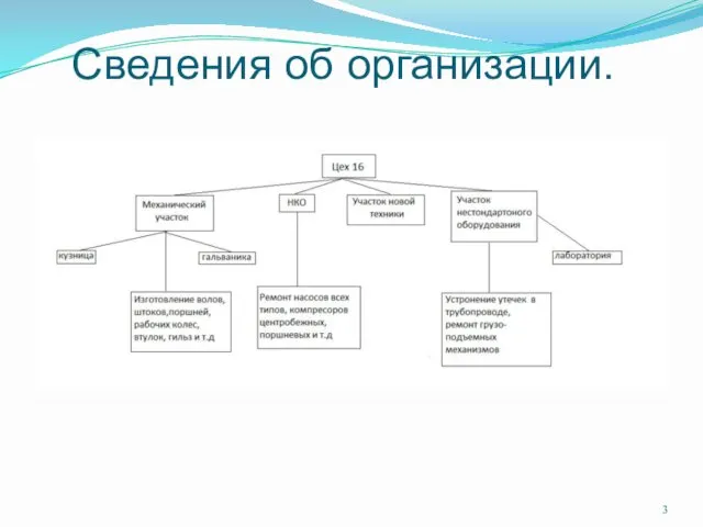 Сведения об организации.