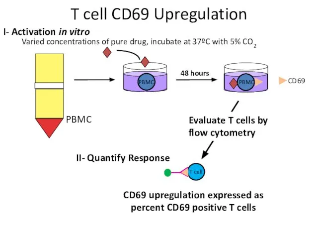 Varied concentrations of pure drug, incubate at 37ºC with 5% CO2