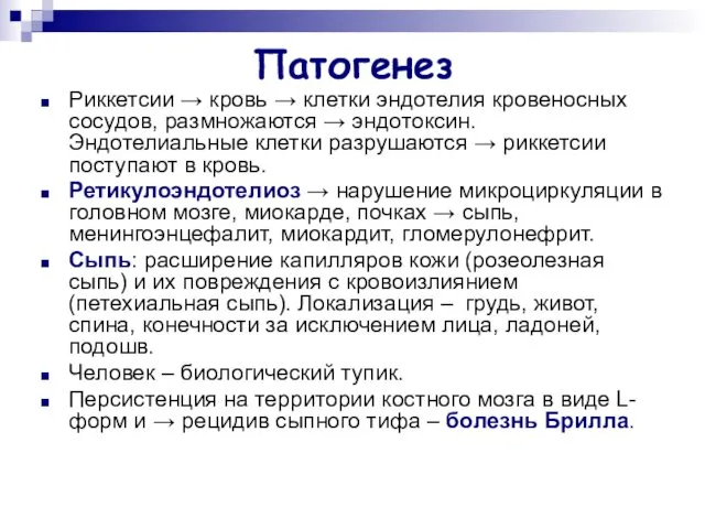 Патогенез Риккетсии → кровь → клетки эндотелия кровеносных сосудов, размножаются →