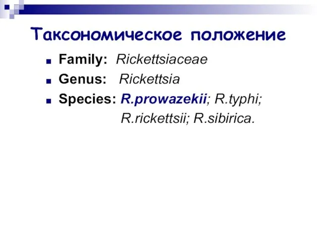 Таксономическое положение Family: Rickettsiaceae Genus: Rickettsia Species: R.prowazekii; R.typhi; R.rickettsii; R.sibirica.