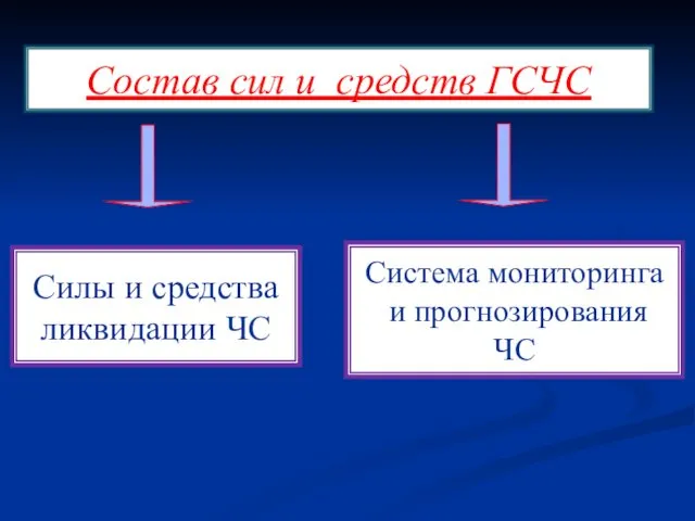 Состав сил и средств ГСЧС Силы и средства ликвидации ЧС Система мониторинга и прогнозирования ЧС