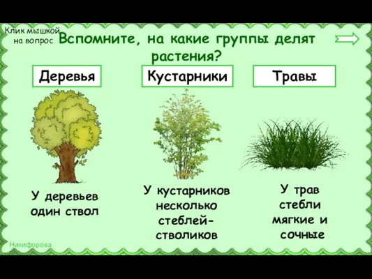 Вспомните, на какие группы делят растения? Деревья Кустарники Травы Клик мышкой