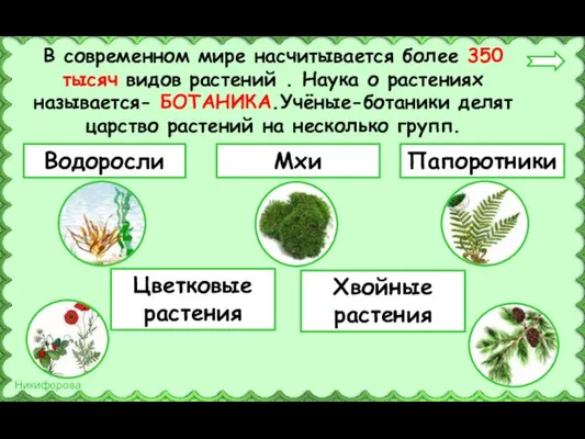 В современном мире насчитывается более 350 тысяч видов растений . Наука