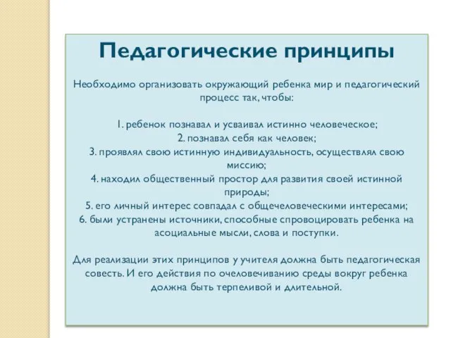 Педагогические принципы Необходимо организовать окружающий ребенка мир и педагогический процесс так,