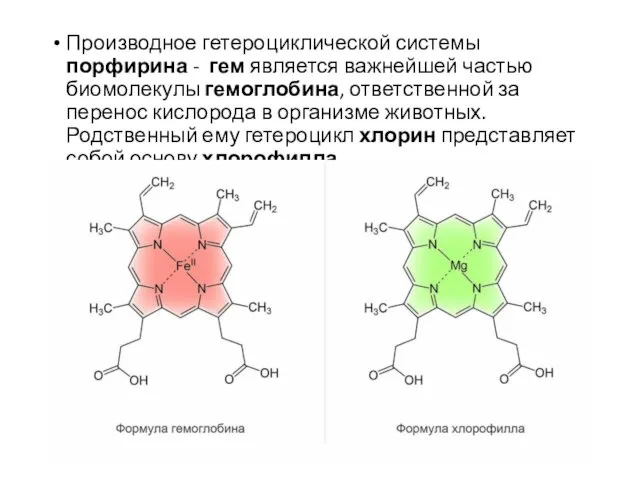 Производное гетероциклической системы порфирина - гем является важнейшей частью биомолекулы гемоглобина,