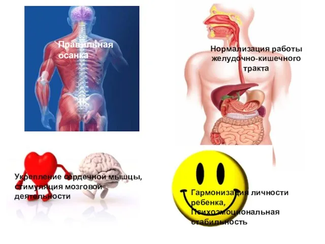 Правильная осанка Нормализация работы желудочно-кишечного тракта Укрепление сердечной мышцы, стимуляция мозговой
