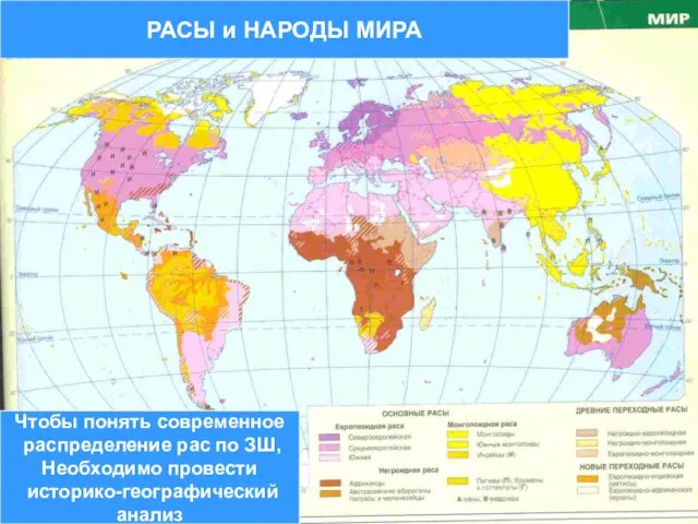 Чтобы понять современное распределение рас по ЗШ, Необходимо провести историко-географический анализ РАСЫ и НАРОДЫ МИРА