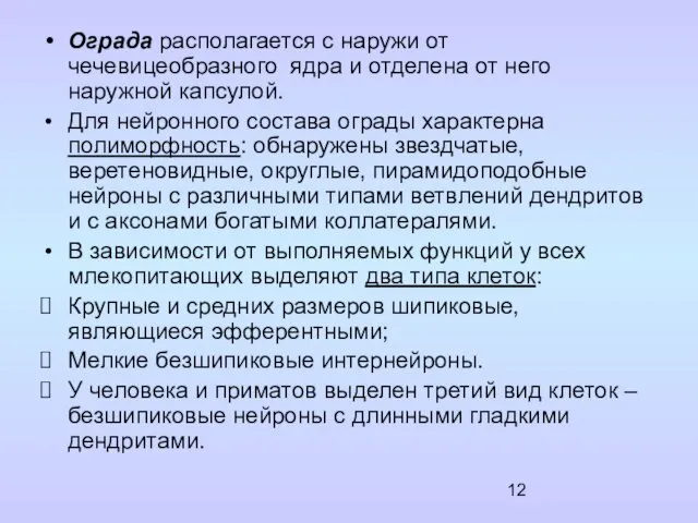 Ограда располагается с наружи от чечевицеобразного ядра и отделена от него