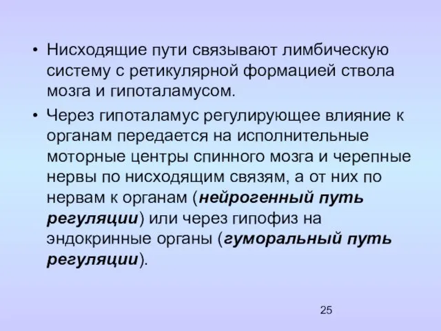 Нисходящие пути связывают лимбическую систему с ретикулярной формацией ствола мозга и