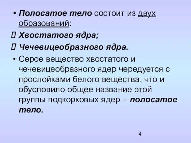 Полосатое тело состоит из двух образований: Хвостатого ядра; Чечевицеобразного ядра. Серое