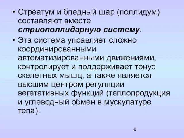 Стреатум и бледный шар (поллидум) составляют вместе стриополлидарную систему. Эта система