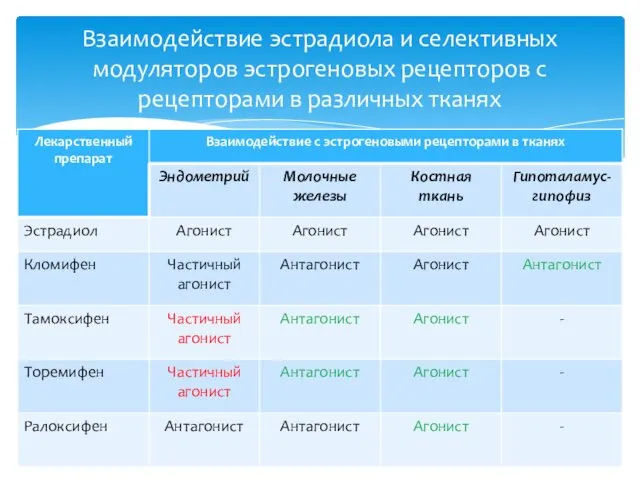 Взаимодействие эстрадиола и селективных модуляторов эстрогеновых рецепторов с рецепторами в различных тканях