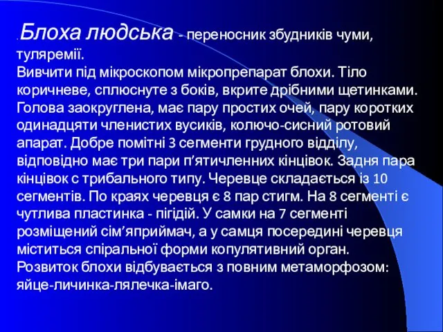 . Блоха людська - переносник збудників чуми, туляремії. Вивчити під мікроскопом