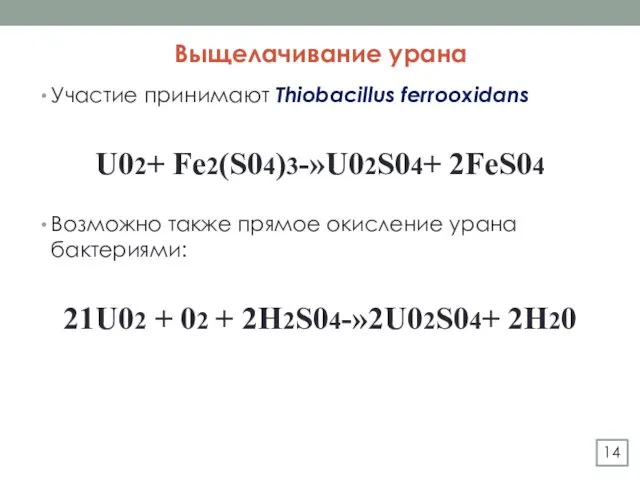 Выщелачивание урана Участие принимают Thiobacillus ferrooxidans U02+ Fe2(S04)3-»U02S04+ 2FeS04 Возможно также