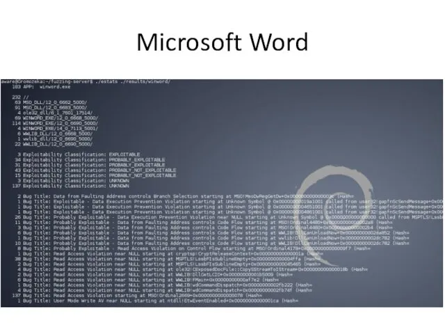 Microsoft Word