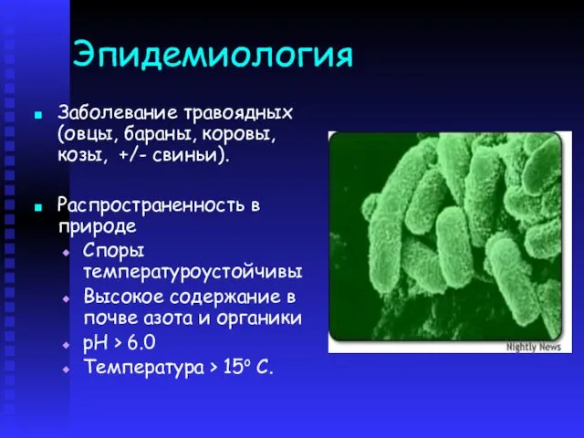 Эпидемиология Заболевание травоядных (овцы, бараны, коровы, козы, +/- свиньи). Распространенность в