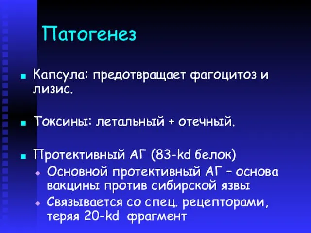 Патогенез Капсула: предотвращает фагоцитоз и лизис. Токсины: летальный + отечный. Протективный