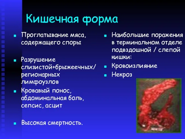 Кишечная форма Проглатывание мяса, содержащего споры Разрушение слизистой+брыжеечных/регионарных лимфоузлов Кровавый понос,