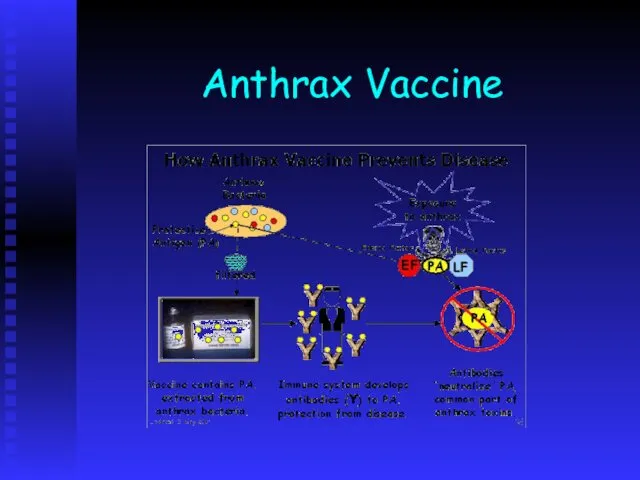 Anthrax Vaccine