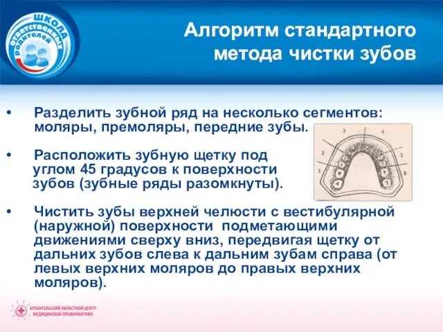 Алгоритм стандартного метода чистки зубов Разделить зубной ряд на несколько сегментов: