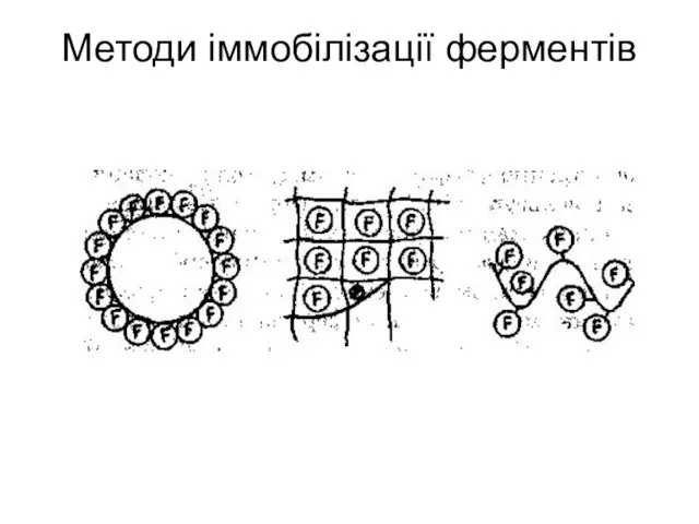 Методи іммобілізації ферментів