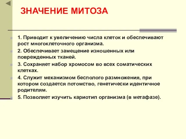 ЗНАЧЕНИЕ МИТОЗА 1. Приводит к увеличению числа клеток и обеспечивают рост