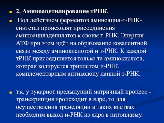 2. Аминоацетилирование тРНК. Под действием ферментов аминоацил-т-РНК-синтетаз происходят присоединения аминоациладенилатов к