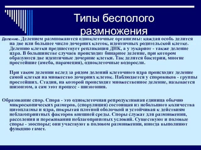 Типы бесполого размножения Деление. Делением размножаются одноклеточные организмы: каждая особь делится