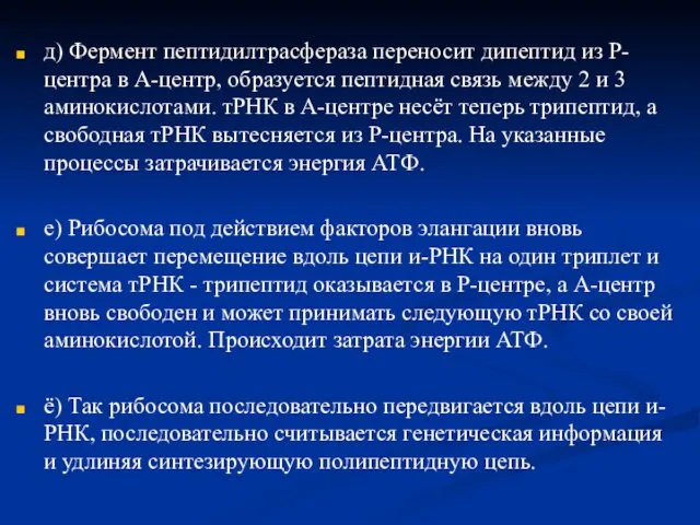 д) Фермент пептидилтрасфераза переносит дипептид из Р-центра в А-центр, образуется пептидная