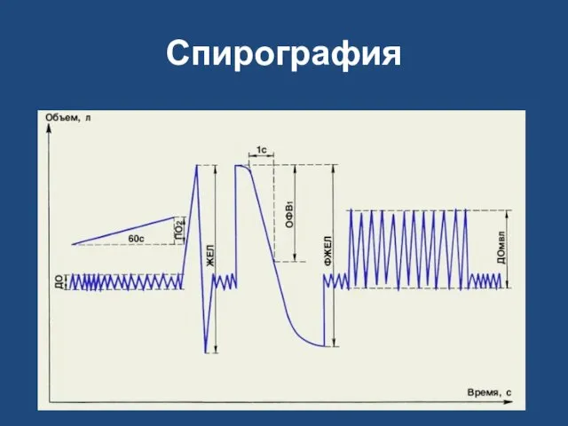 Спирография