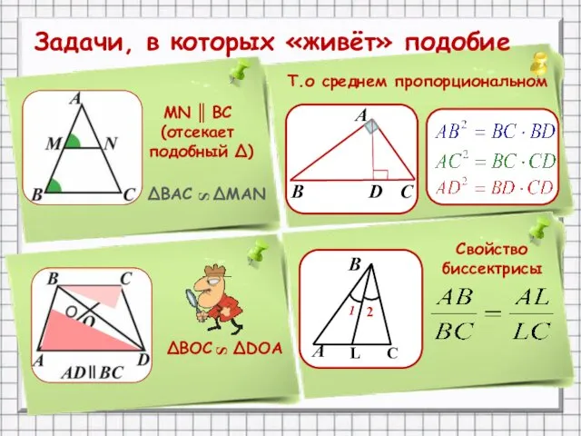 B A 2 MN BC (отсекает подобный ∆) ║ ∆BOC ∆DOA