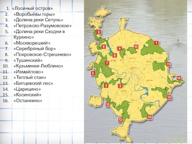 1. «Лосиный остров» «Воробьёвы горы» «Долина реки Сетунь» «Петровско-Разумовское» «Долина реки