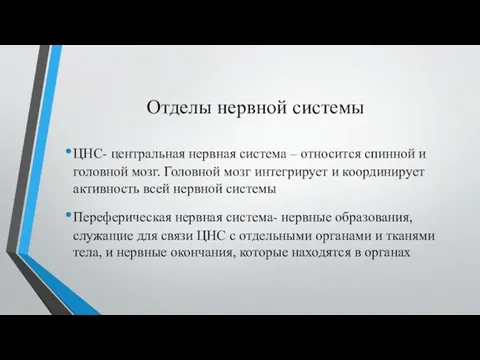 Отделы нервной системы ЦНС- центральная нервная система – относится спинной и