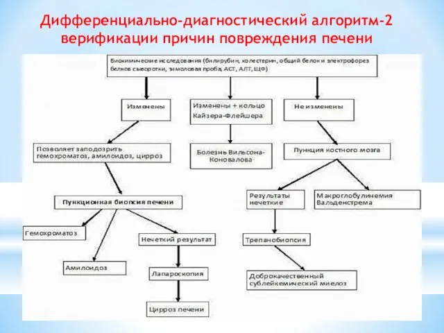 Дифференциально-диагностический алгоритм-2 верификации причин повреждения печени